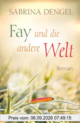 Fay und die andere Welt - Roman