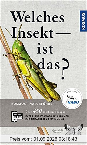 Welches Insekt ist das?