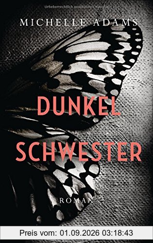 Dunkelschwester: Roman
