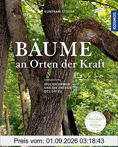 Bäume an Orten der Kraft: Die Botschaft verstehen, Heilung finden