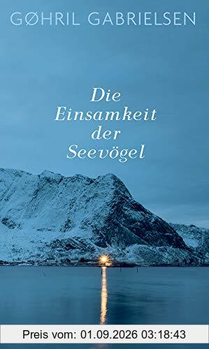 Die Einsamkeit der Seevögel: Roman