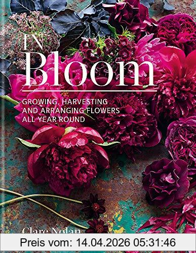Clare Nolan In Bloom, Growing, Harvesting And Arranging Flowers All Year Round
