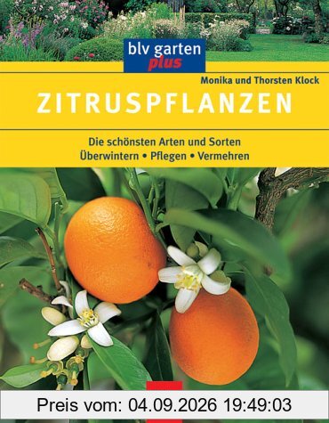 Zitruspflanzen
