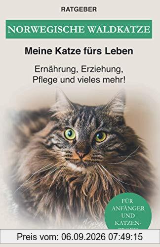 Norwegische Waldkatze: Ernährung, Erziehung, Pflege und vieles mehr!