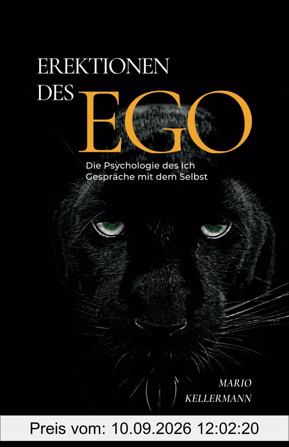 Erektionen des Ego: Die Psychologie des Ich. Gespräche mit dem Selbst (Unveränderte Neuausgabe)