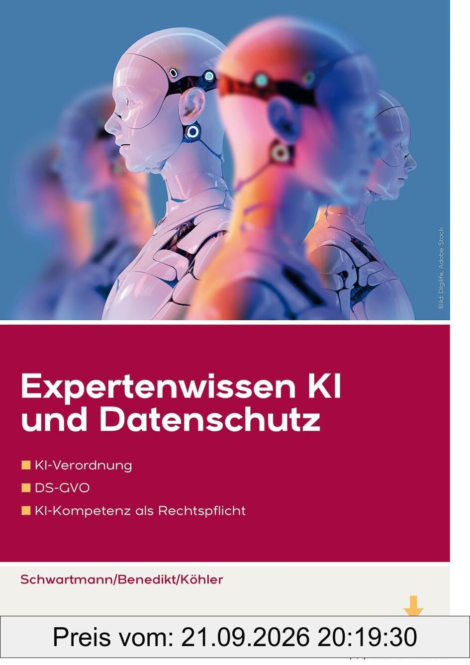 Expertenwissen KI und Datenschutz