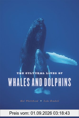 Cultural Lives of Whales and Dolphins