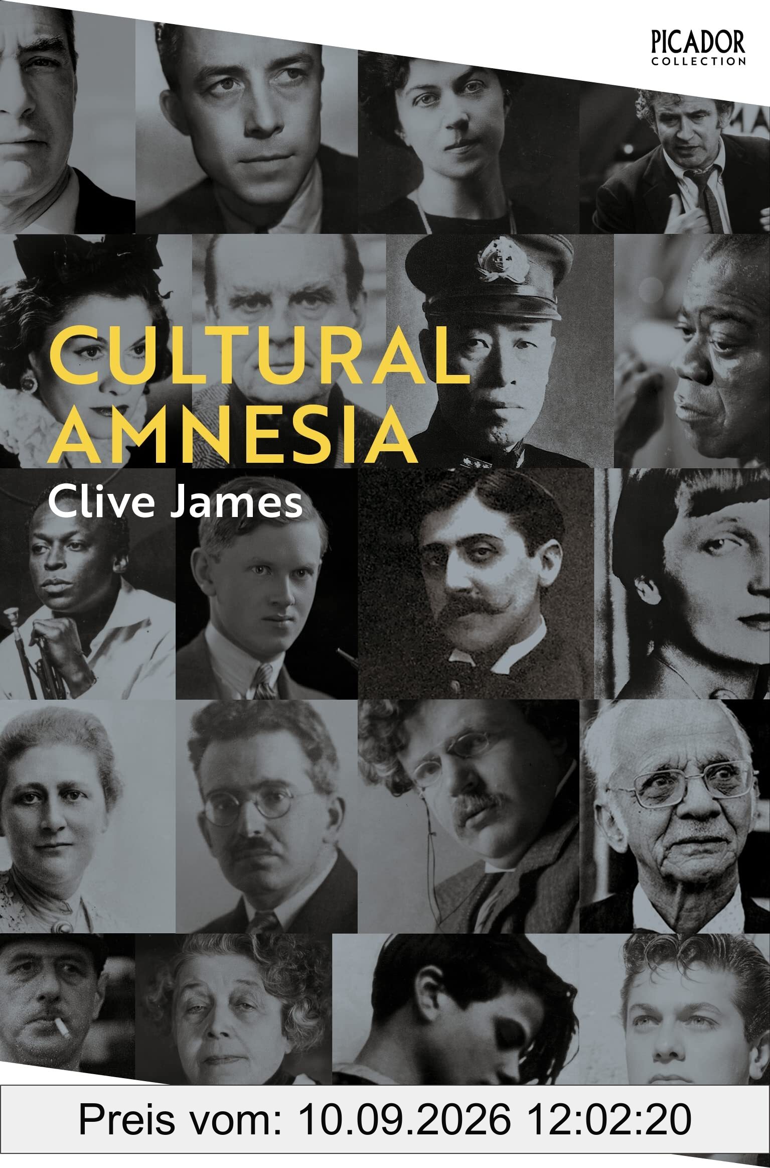 Cultural Amnesia: Notes in the Margin of My Time (Picador Collection)
