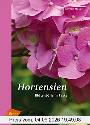Hortensien: Blütenbälle in Pastell