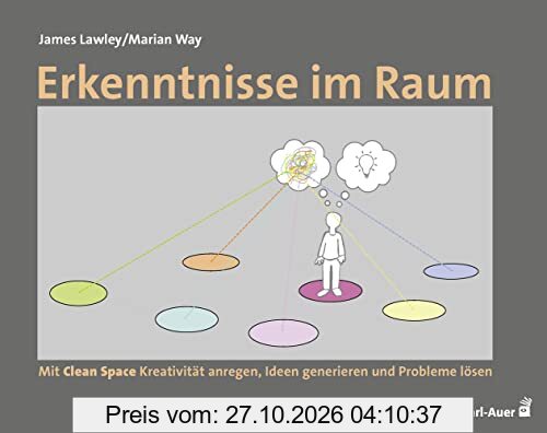 Erkenntnisse im Raum: Mit Clean Space Kreativität anregen, Ideen generieren und Probleme lösen (Beratung, Coaching, Supervision)