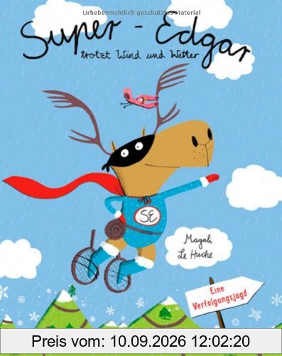 Super-Edgar trotzt Wind und Wetter: Eine Verfolgungsjagd. Vierfarbiges Pappbilderbuch