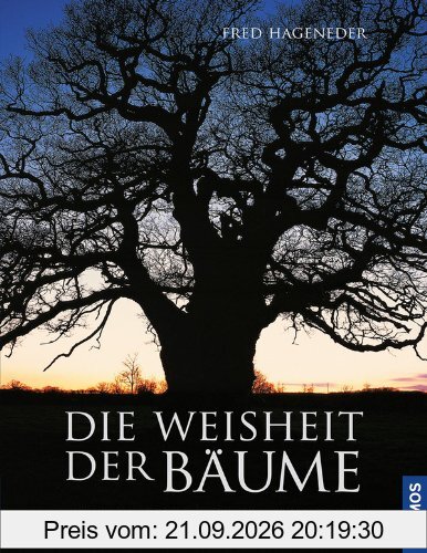 Die Weisheit der Bäume: Mythos, Geschichte, Heilkraft