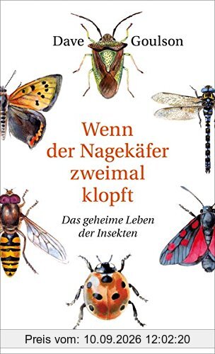 Wenn der Nagekäfer zweimal klopft: Das geheime Leben der Insekten