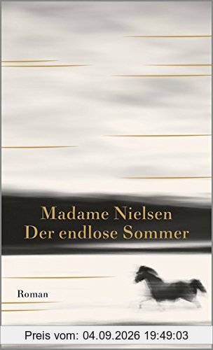 Der endlose Sommer: Roman