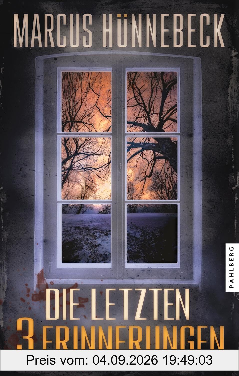 Die letzten 3 Erinnerungen: Thriller