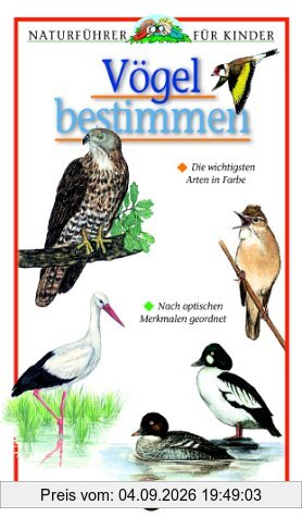 Naturführer für Kinder. Vögel bestimmen