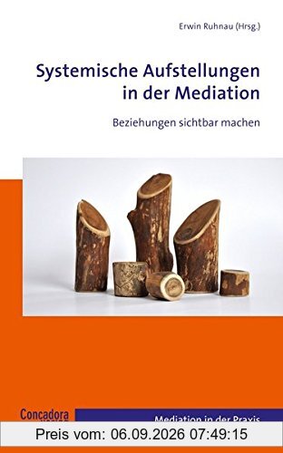 Systemische Aufstellungen in der Mediation: Beziehungen sichtbar machen (Mediation in der Praxis)
