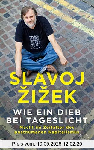 Wie ein Dieb bei Tageslicht: Macht im Zeitalter des posthumanen Kapitalismus