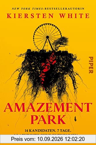 Amazement Park: 14 Kandidaten. 7 Tage. 1 Labyrinth ohne Entkommen … | Ein atemloser Mystery-Thriller für alle Fans von »Squid Game«