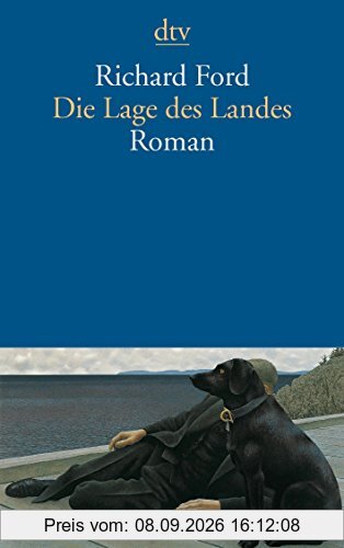 Die Lage des Landes: Roman (dtv Literatur)