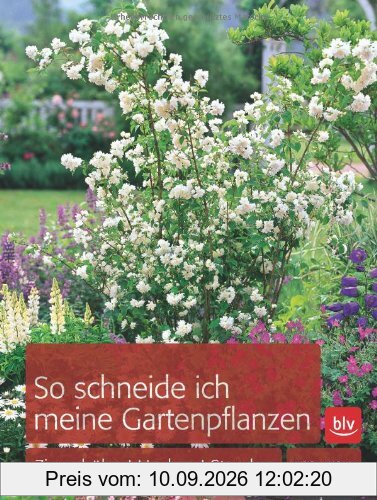 So schneide ich meine Gartenpflanzen: Ziergehölze, Hecken, Stauden