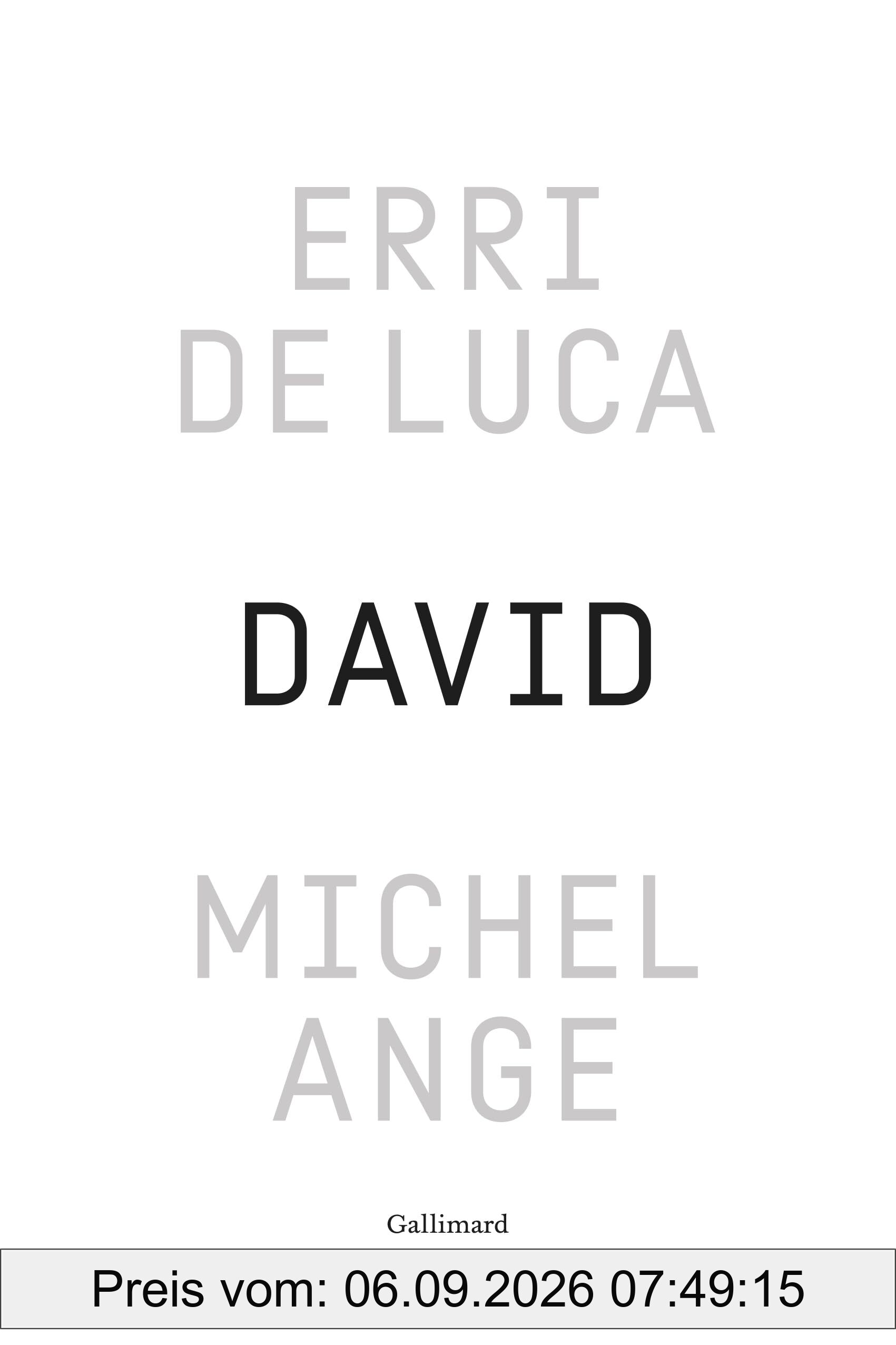 David, Michel-Ange : enquête sur une disproportion