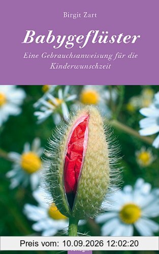 Babygeflüster Eine Gebrauchsanweisung für die Kinderwunschzeit