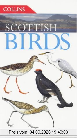 Scottish Birds (Collins Guides)
