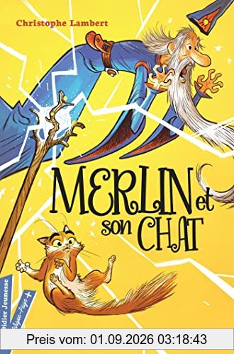 Merlin et son chat