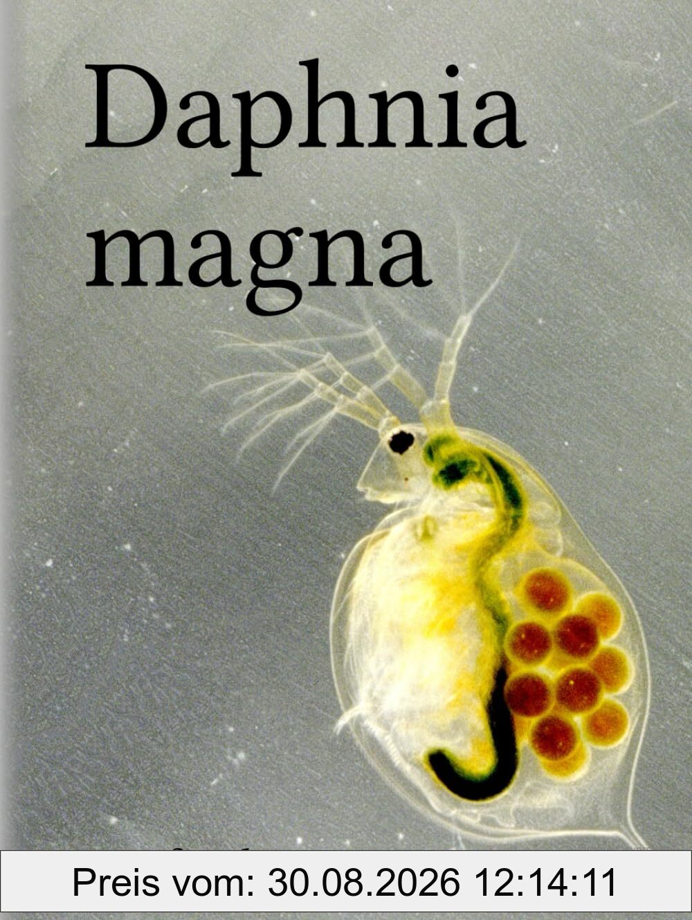 Daphnia magna