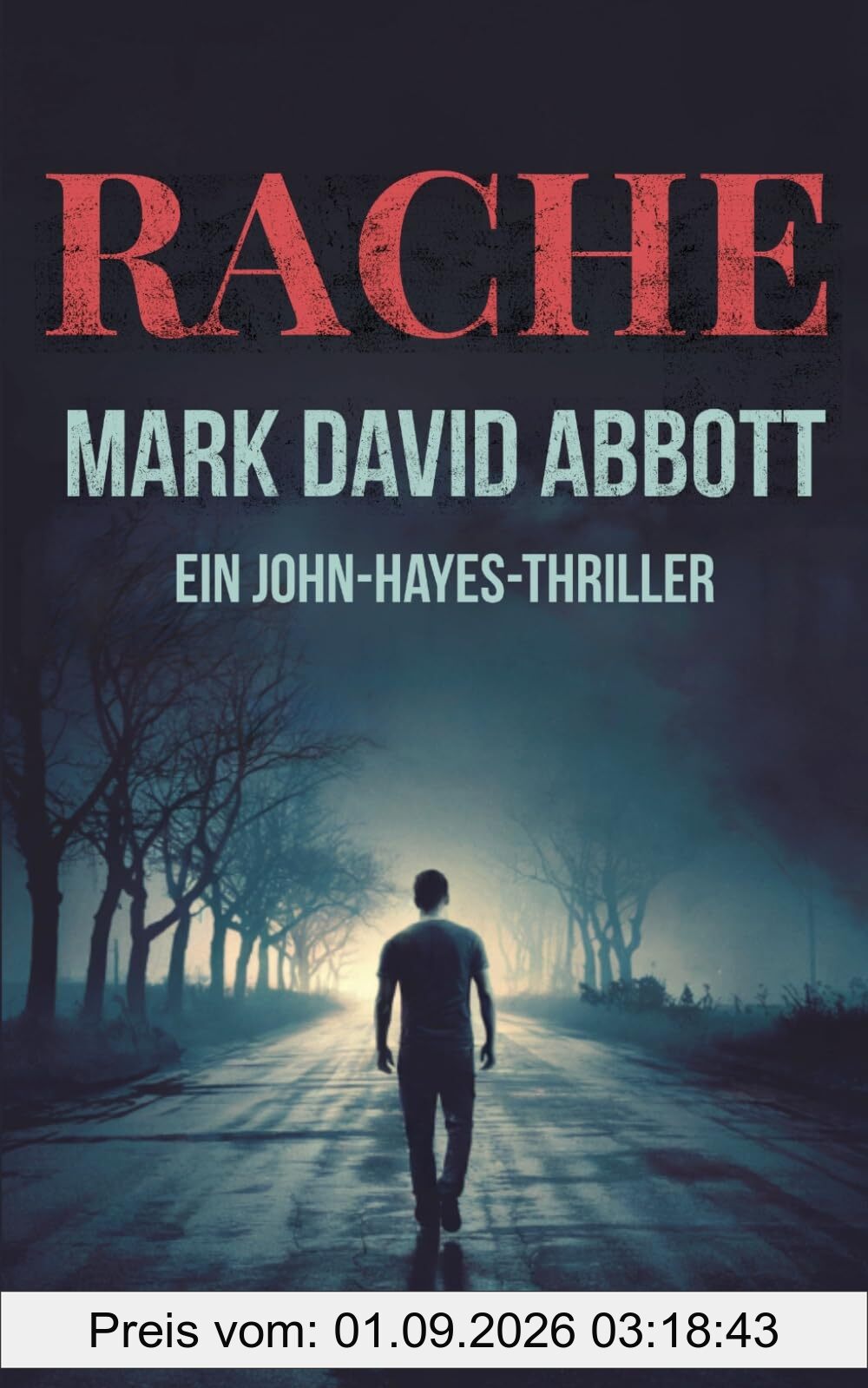 Rache: Ein John-Hayes-Thriller #1