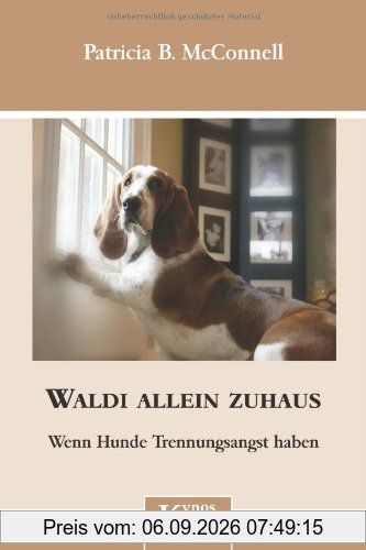 Waldi allein zuhaus: Wenn Hunde Trennungsangst haben