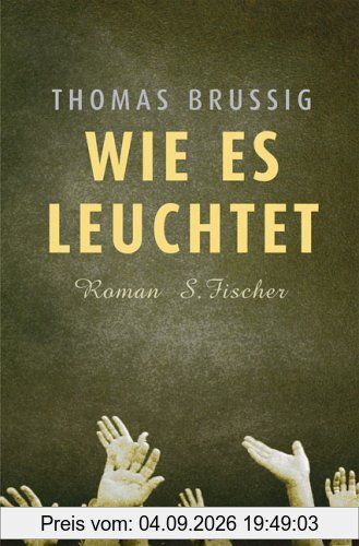 Wie es leuchtet: Roman