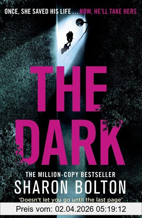 Sharon Bolton The Dark (Lacey Flint)