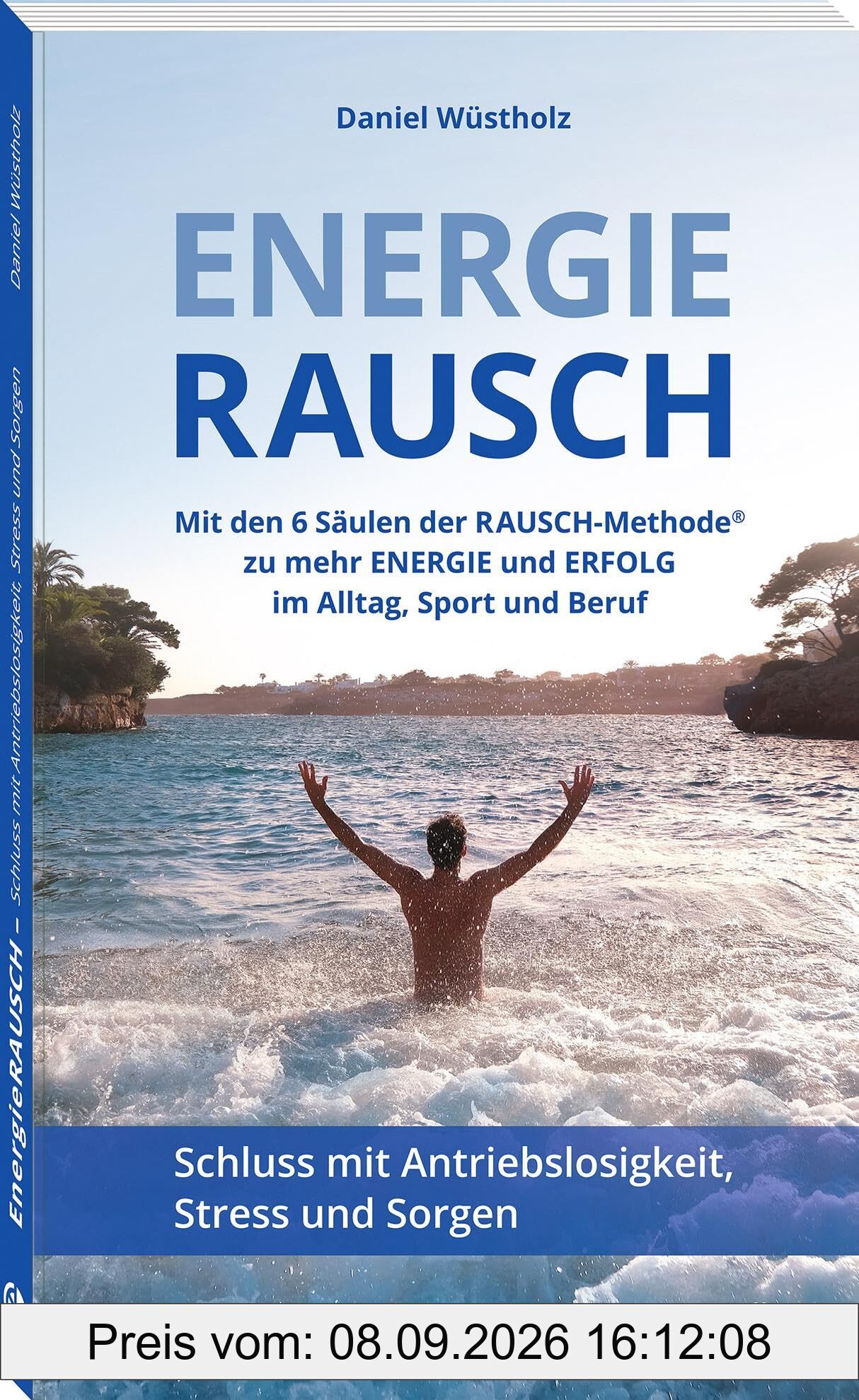 EnergieRAUSCH – Schluss mit Antriebslosigkeit, Stress und Sorgen: Mit den 6 Säulen der RAUSCH-Methode® zu mehr Energie und Erfolg im Alltag, Sport und Beruf
