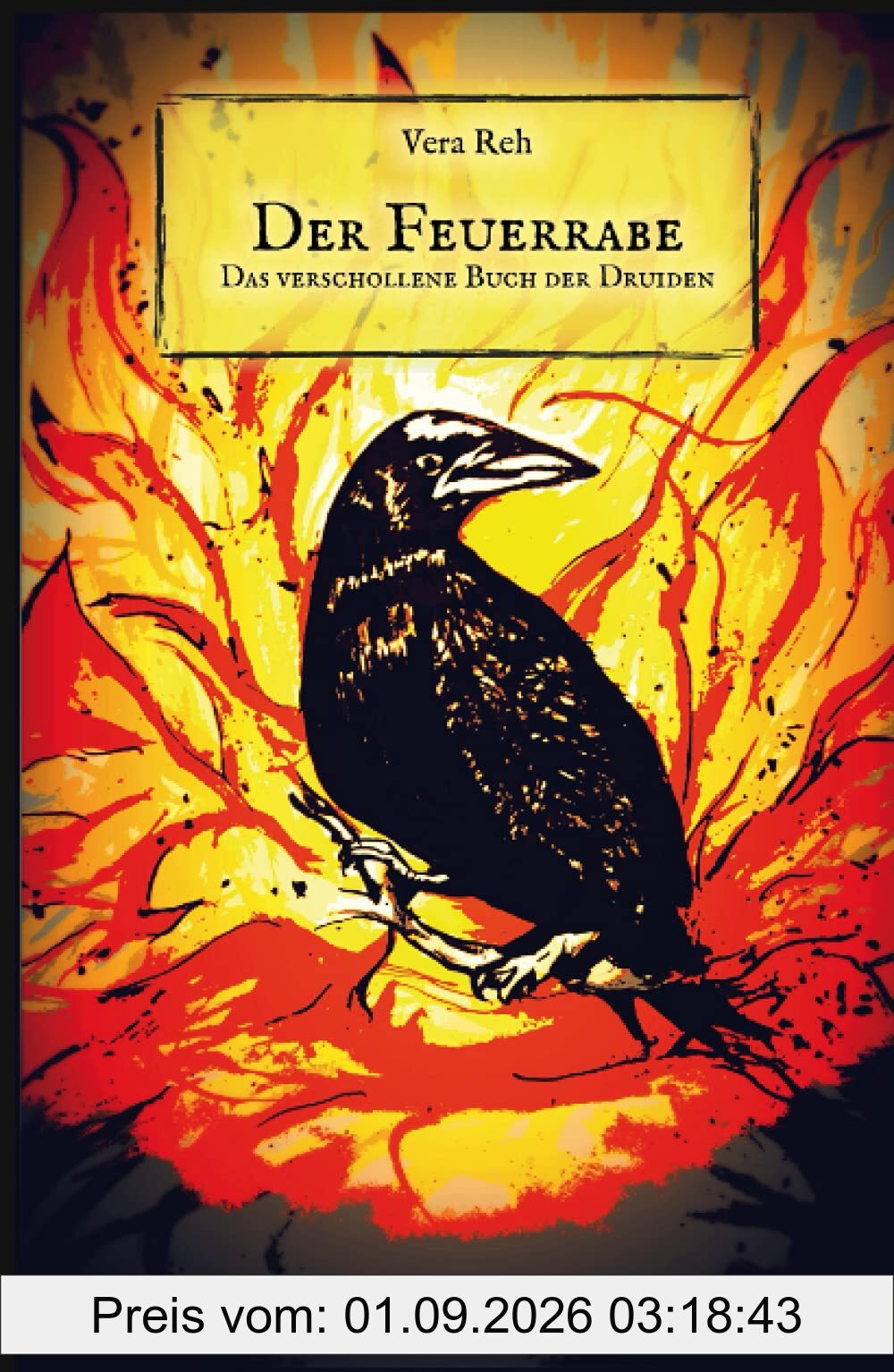 Der Feuerrabe: Das verschollene Buch der Druiden