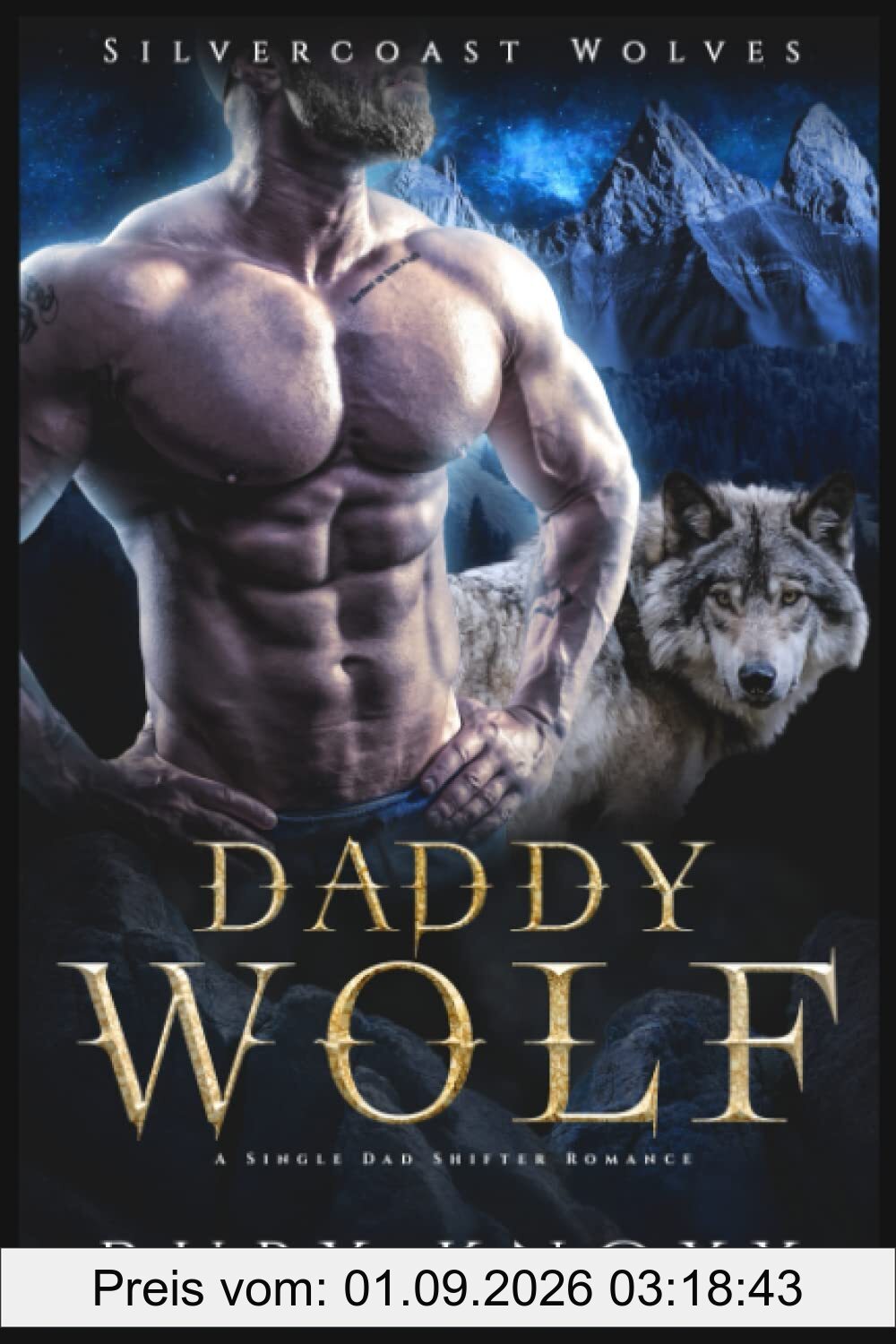 Daddy Wolf: A Single Dad Shifter Romance (Silvercoast Wolves, Band 3)
