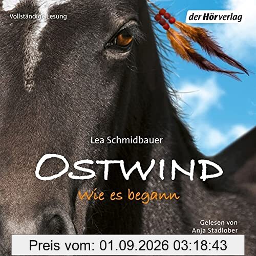 Ostwind 7 - Wie es begann (Die Ostwind-Reihe - Die Bücher und Hörbücher zur Filmreihe, Band 7)