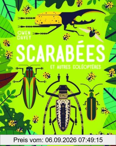 Scarabées : et autres coléoptères