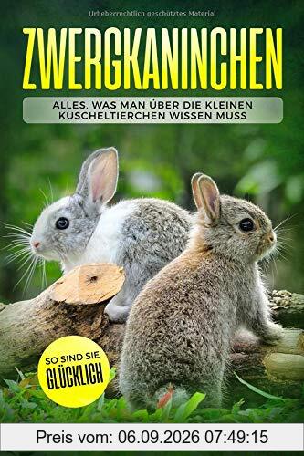 Zwergkaninchen: Alles, was man über die kleinen Kuscheltierchen wissen muss. So sind sie glücklich.