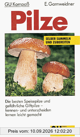Pilze, Die besten Speisepilze und gefährliche Giftpilze
