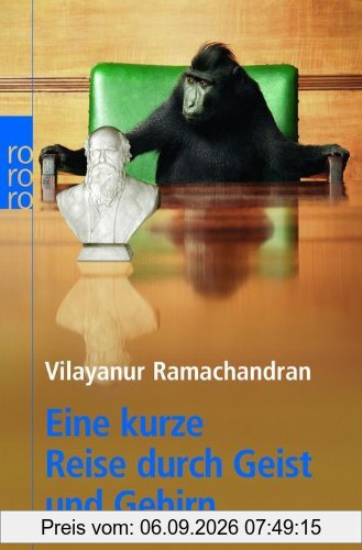 Eine kurze Reise durch Geist und Gehirn