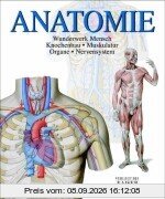 Anatomie. Wunderwerk Mensch: Knochenbau - Muskulatur - Organe - Nervensystem