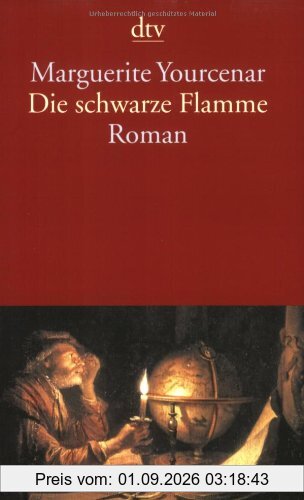Die schwarze Flamme: Roman