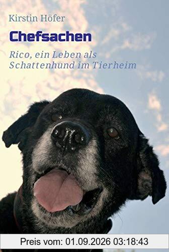 Chefsachen: Rico - ein Leben als Schattenhund im Tierheim