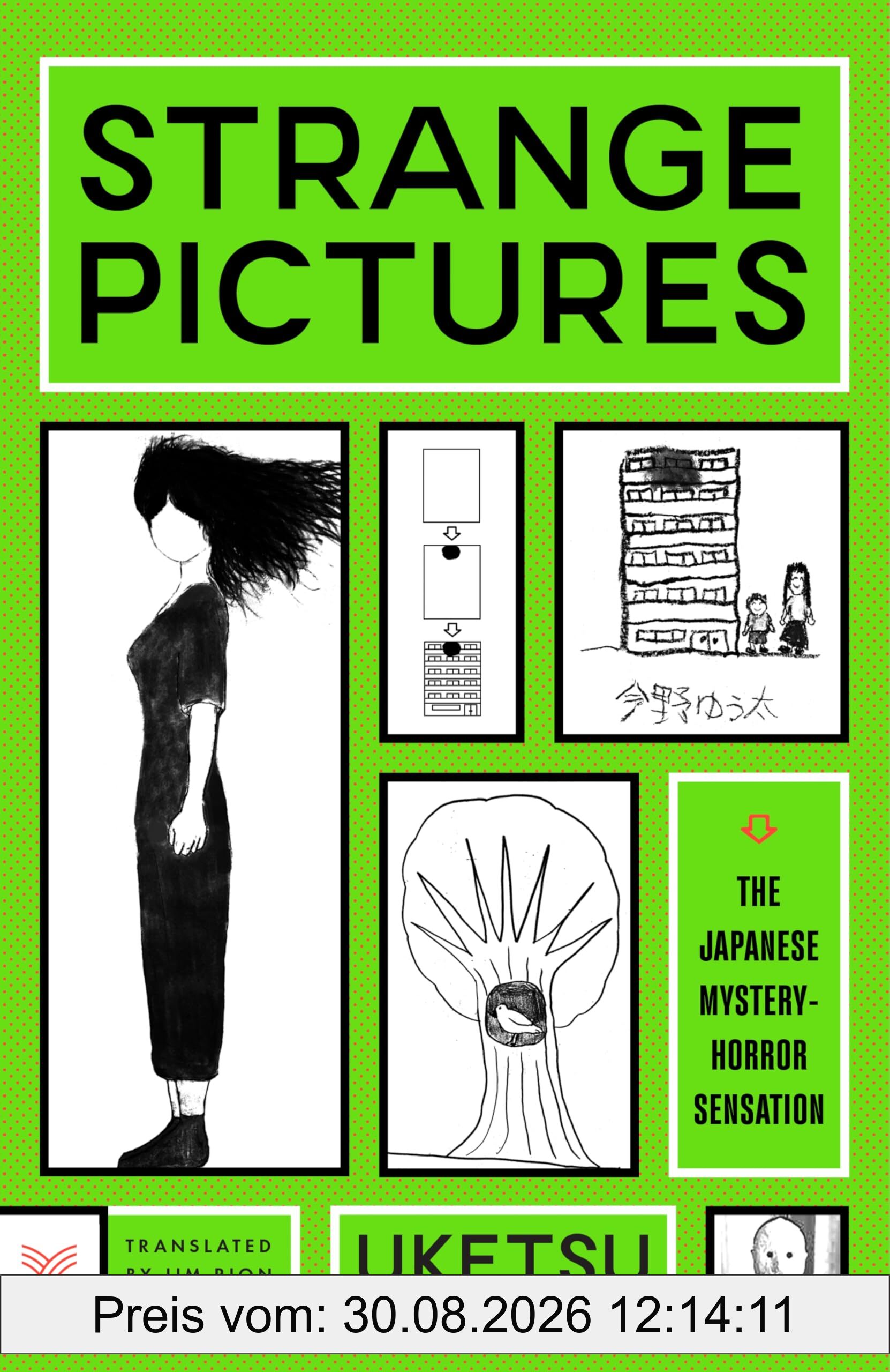 Strange Pictures: A Novel