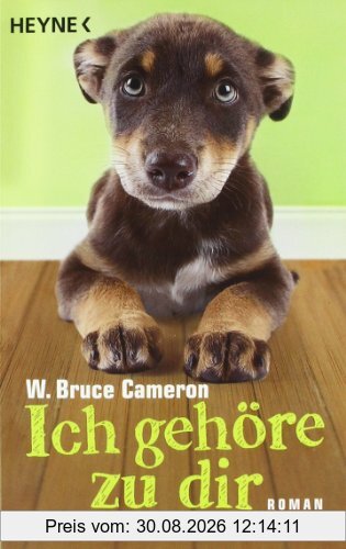 Ich gehöre zu dir: Roman