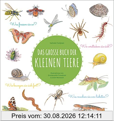 Das große Buch der kleinen Tiere: Was fressen sie so? Wie bewegen sie sich fort? Wo verstecken sie sich? Was machen sie am liebsten?
