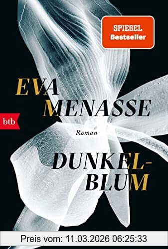 Eva Menasse Dunkelblum, Roman