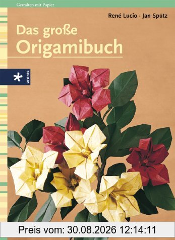 Das große Origamibuch